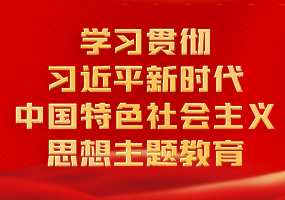 學習貫徹習近平新時代中國特色社會主義思想主題教育