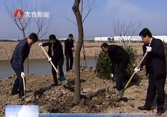 春光里義務(wù)植樹 為太倉增綠添景