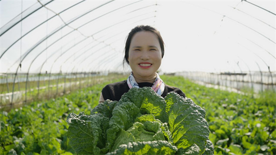 “高淳農(nóng)田里的新質(zhì)生產(chǎn)力”系列報(bào)道丨高淳：稻花香里說(shuō)豐年的四字秘訣